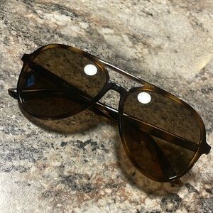 Rayban RB 4376 Sunglasses